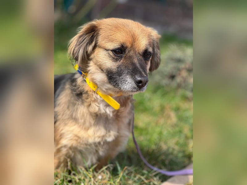 Lipi - liebe Minimaus