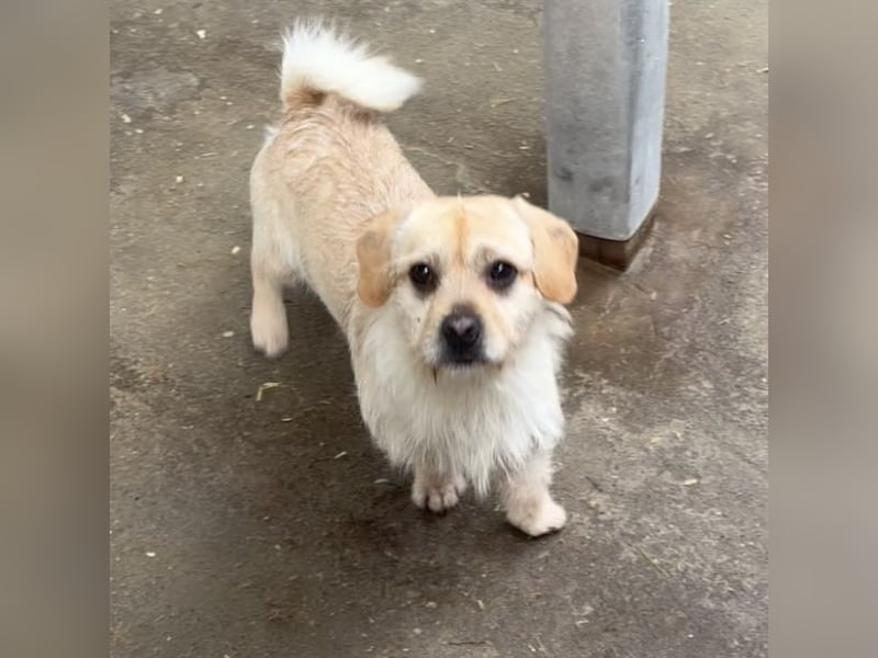 STICKY SUCHT LIEBEVOLLES ZUHAUSE