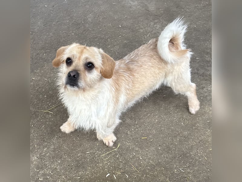 STICKY SUCHT LIEBEVOLLES ZUHAUSE