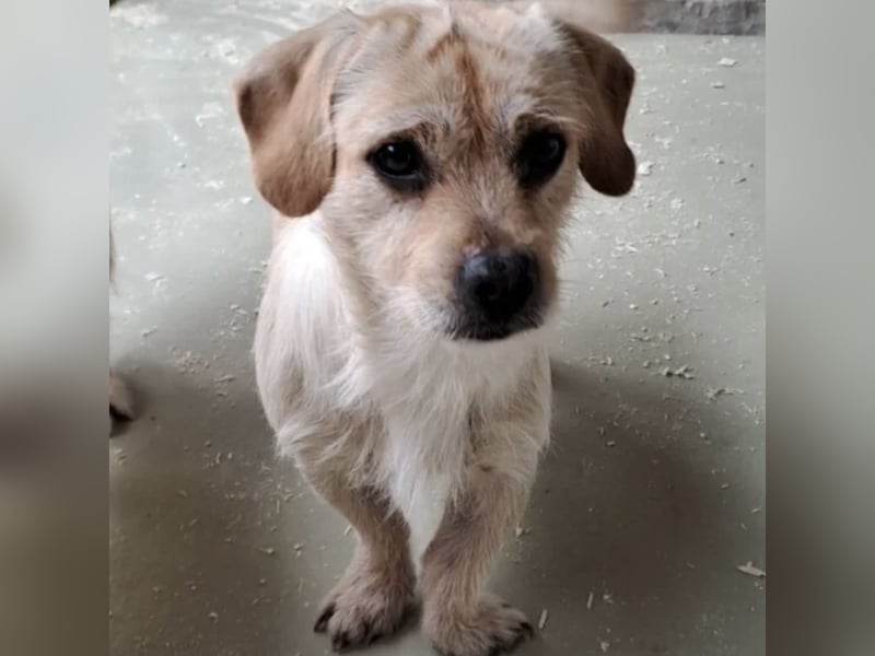 STICKY SUCHT LIEBEVOLLES ZUHAUSE