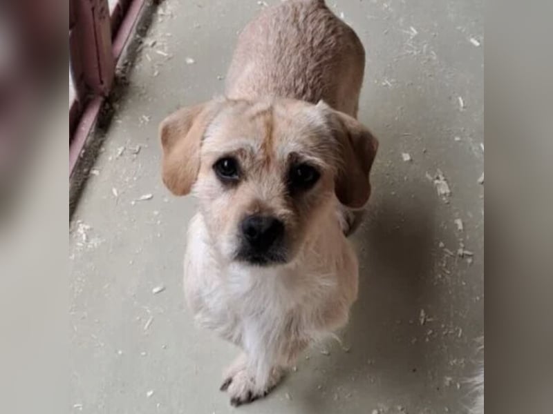 STICKY SUCHT LIEBEVOLLES ZUHAUSE