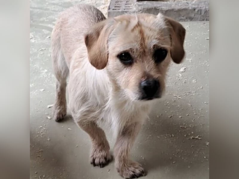 STICKY SUCHT LIEBEVOLLES ZUHAUSE