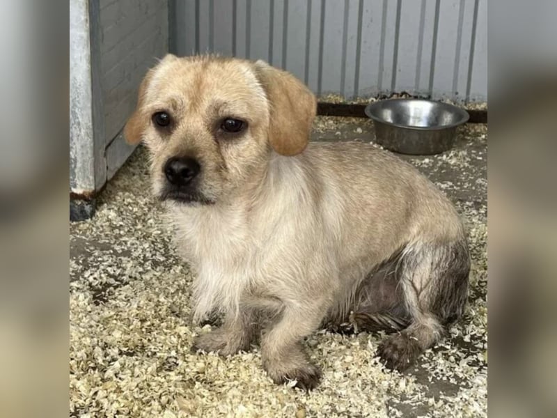 STICKY SUCHT LIEBEVOLLES ZUHAUSE