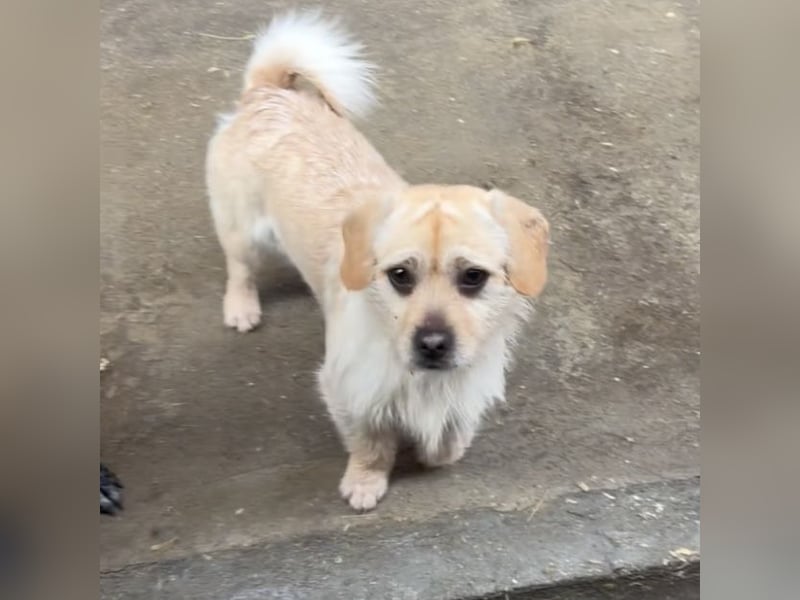 STICKY SUCHT LIEBEVOLLES ZUHAUSE