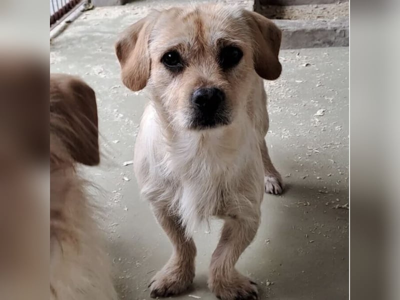 STICKY SUCHT LIEBEVOLLES ZUHAUSE