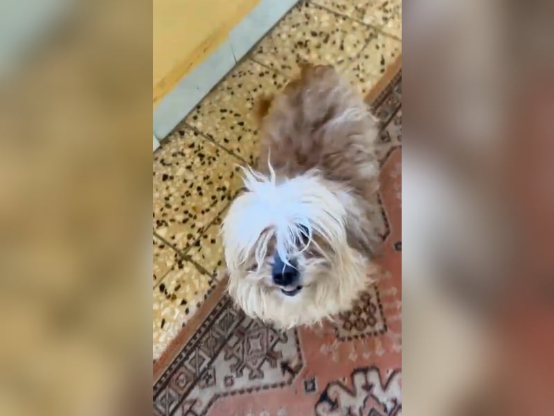 Junior, geboren 19.01.2026 sucht sein Glück