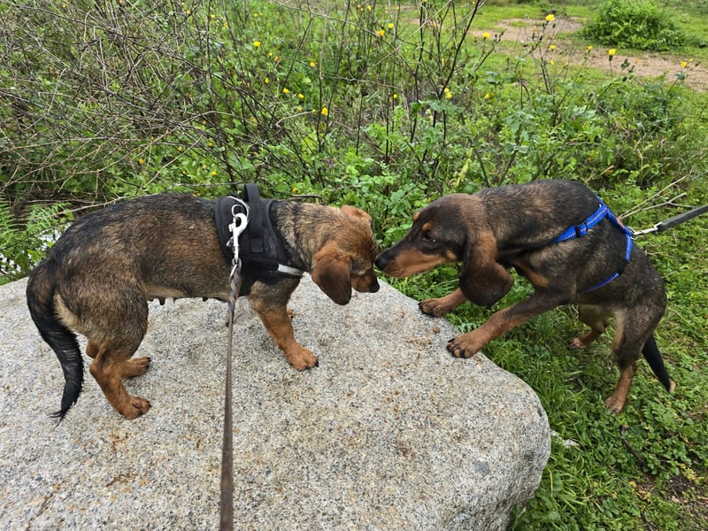 Monica: Mama mit Herz