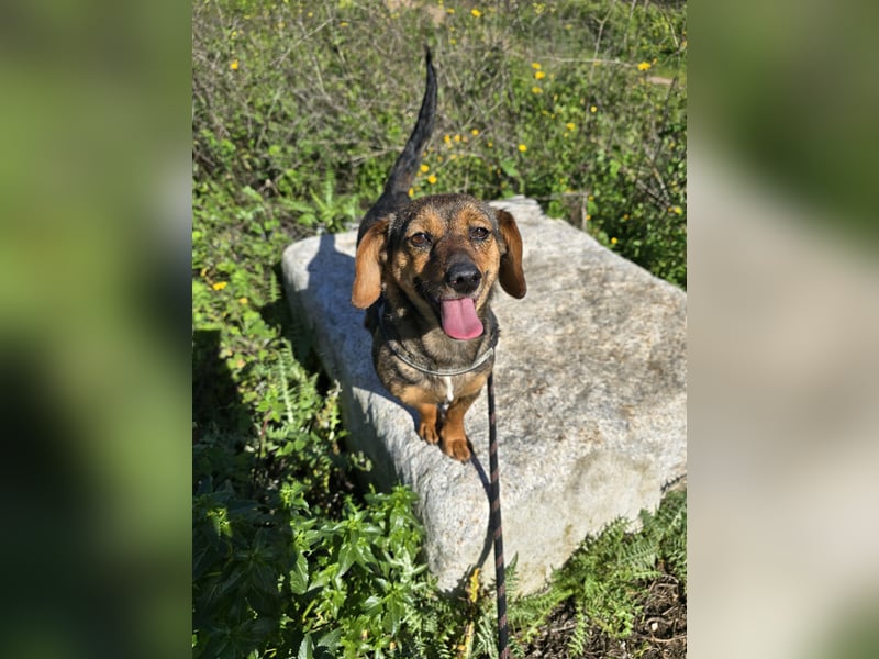 Monica: Mama mit Herz