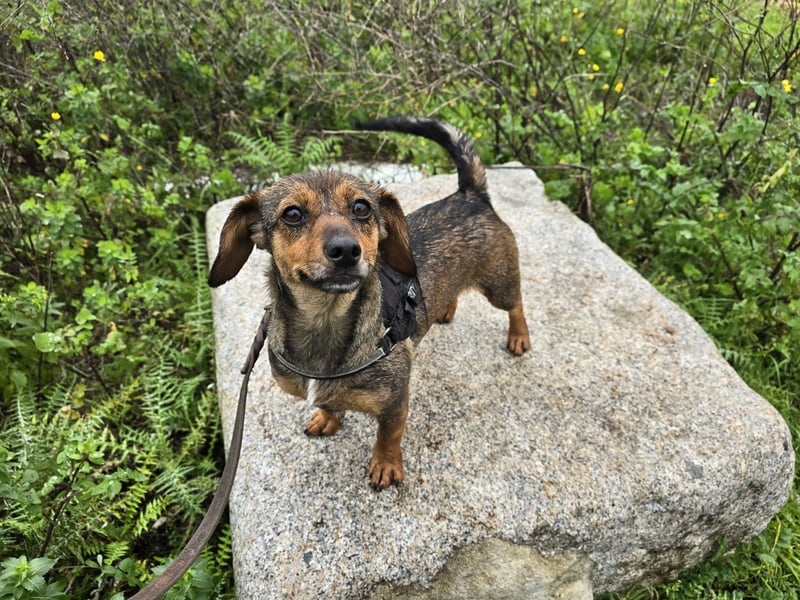 Monica: Mama mit Herz