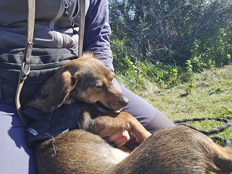 Monica: Mama mit Herz