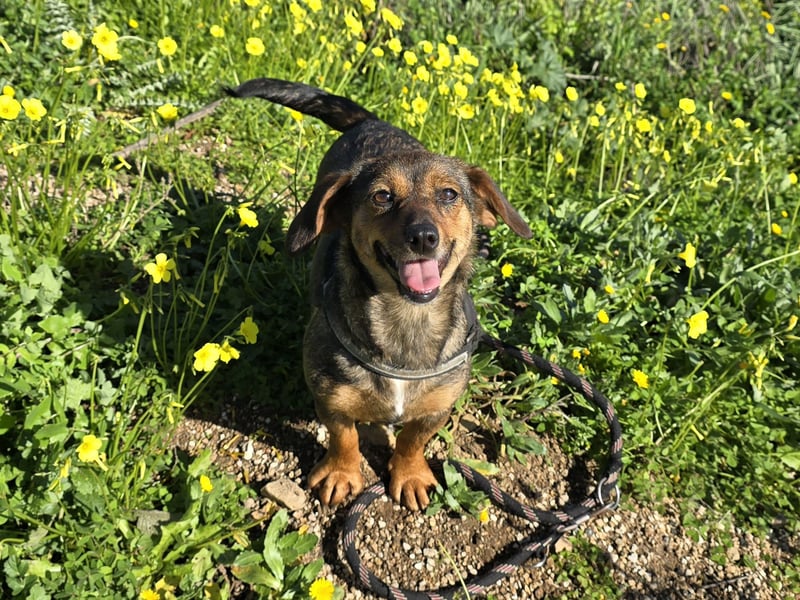 Monica: Mama mit Herz