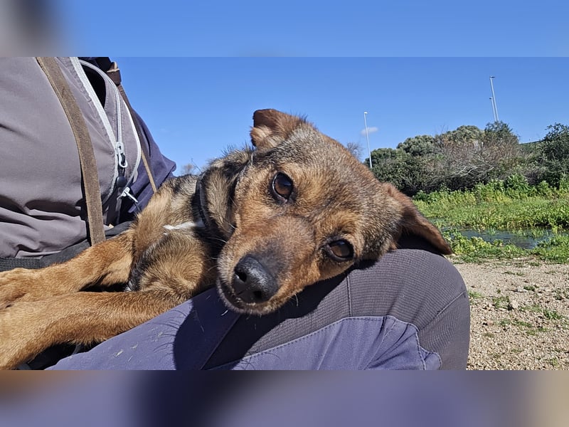 Monica: Mama mit Herz