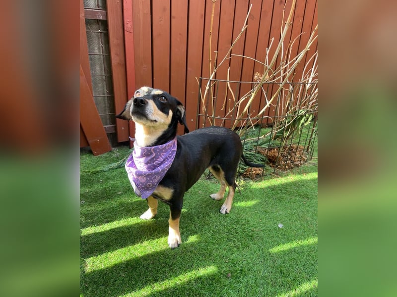 Wilma SR - lieb, aufgeschlossen