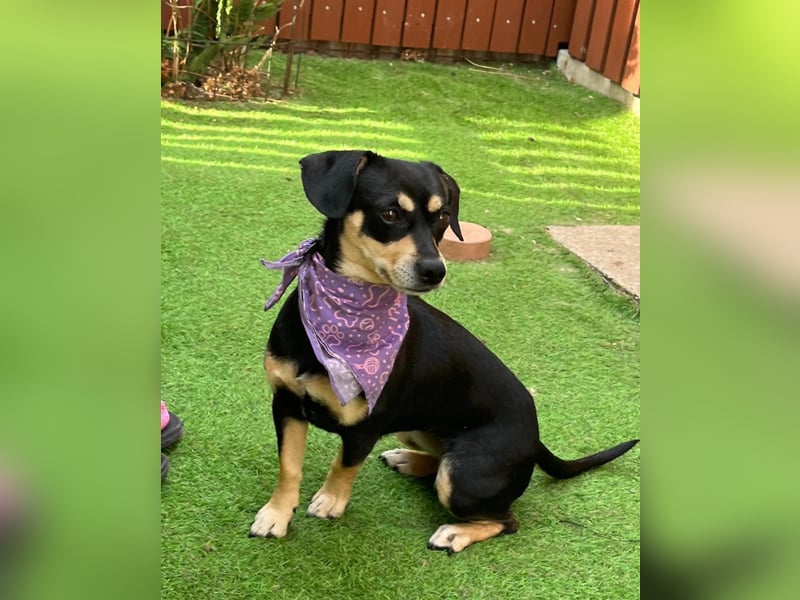 Wilma SR - lieb, aufgeschlossen