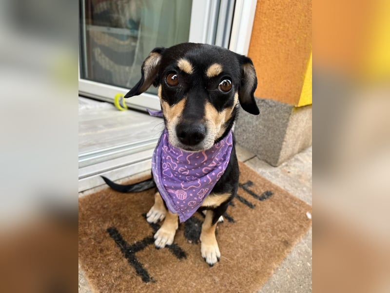 Wilma SR - lieb, aufgeschlossen