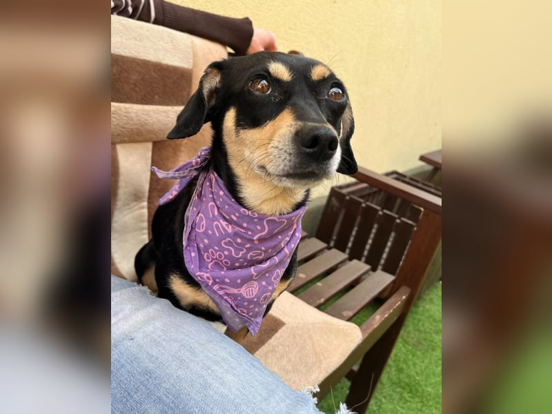 Wilma SR - lieb, aufgeschlossen