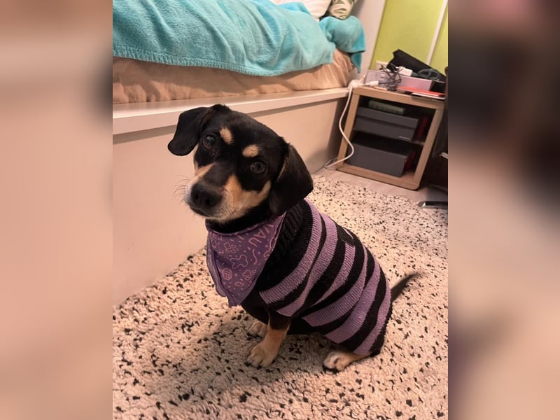 Wilma SR - lieb, aufgeschlossen