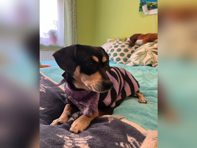 Wilma SR - lieb, aufgeschlossen