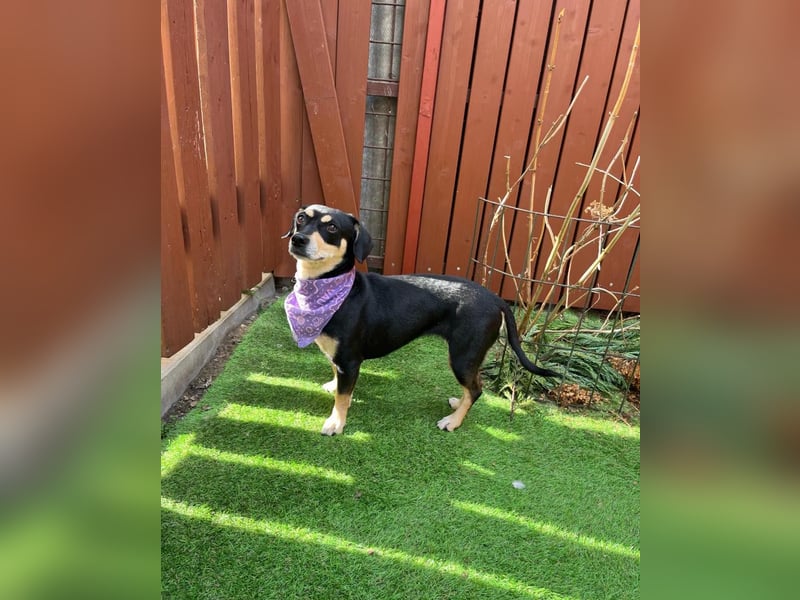 Wilma SR - lieb, aufgeschlossen