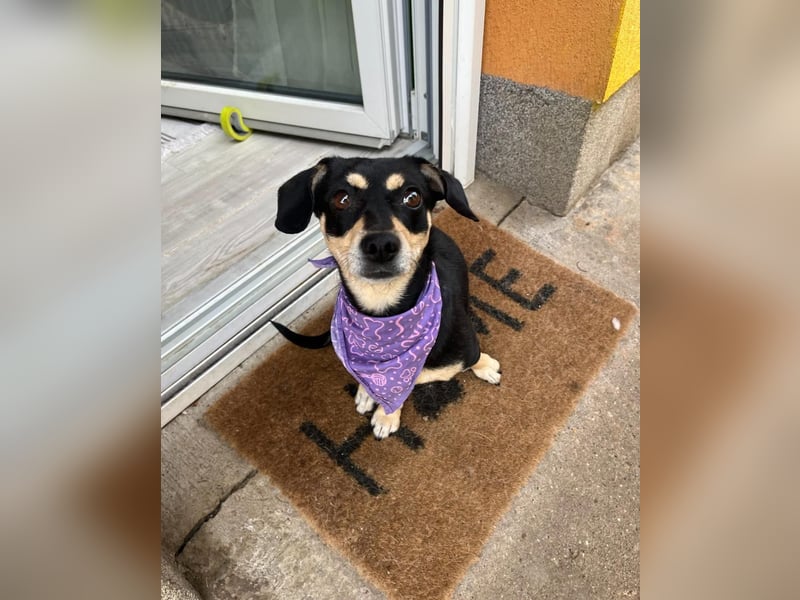 Wilma SR - lieb, aufgeschlossen