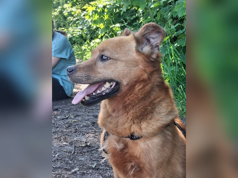 Unser kleiner Felix sucht ein warmes Körbchen