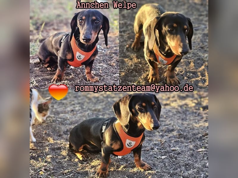 Ännchen ist ein Energiebündel und immer fröhlich