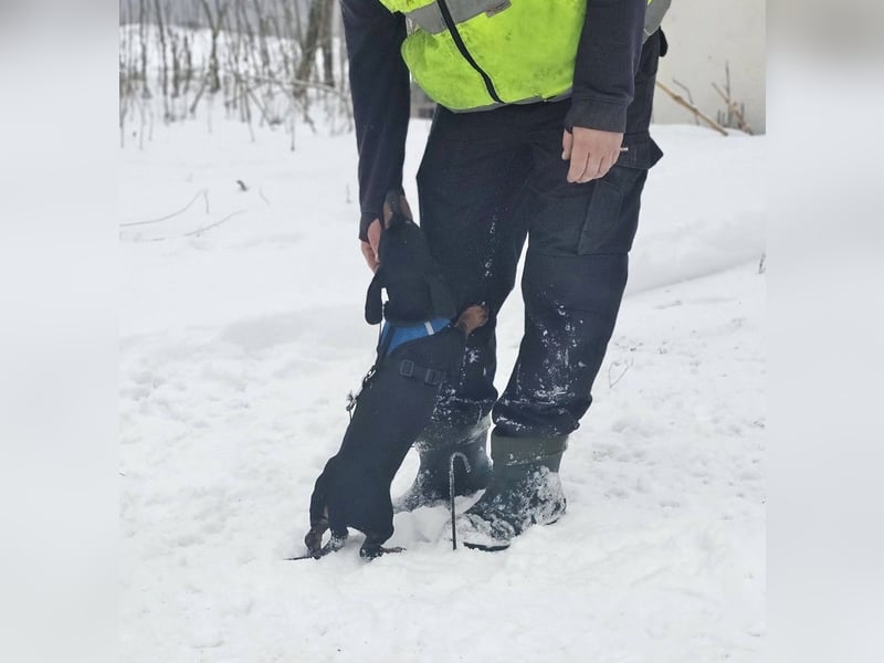 Jaherl - ein sensibler, kleiner Hundebub