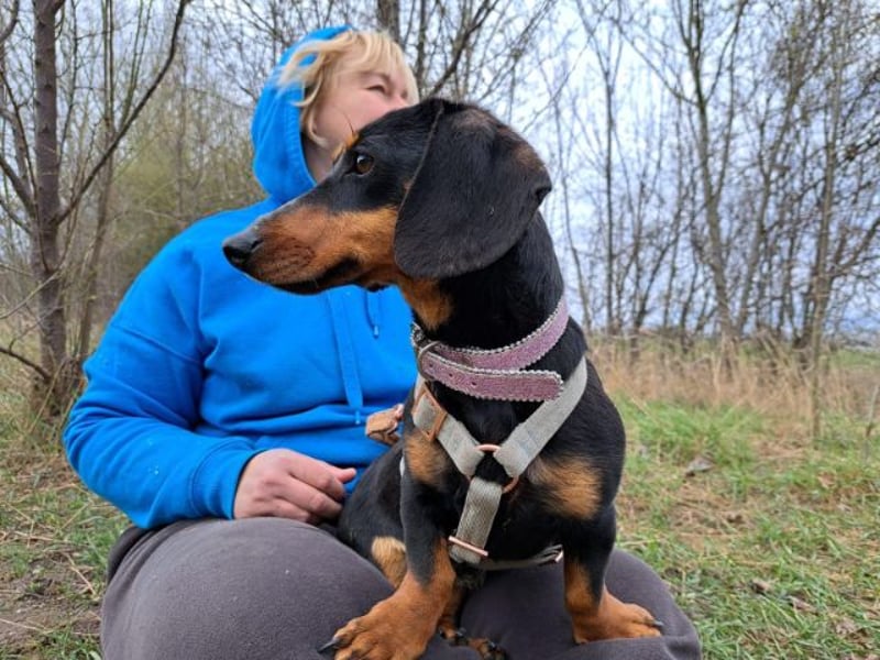 Little Jazmin, sanfte Begleiterin, ca. 2 Jahre, ca. 22 cm, ca. 6 kg