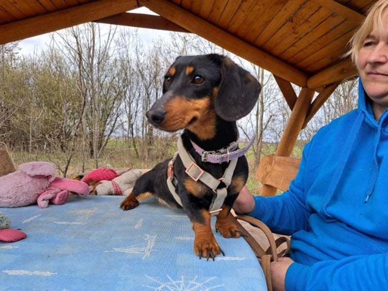 Little Jazmin, sanfte Begleiterin, ca. 2 Jahre, ca. 22 cm, ca. 6 kg