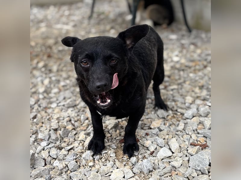 Moxie eine winzige Prinzessin