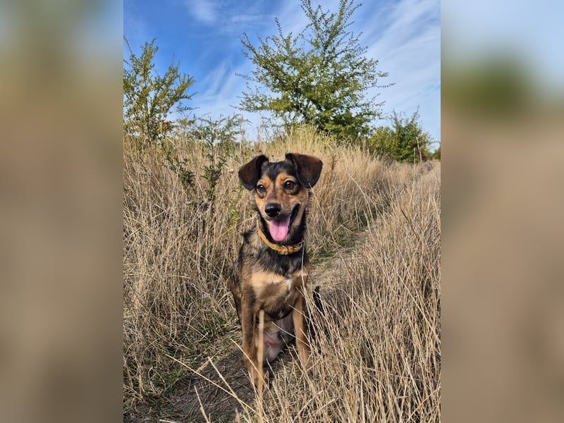 Charly sucht Menschen mit Herz