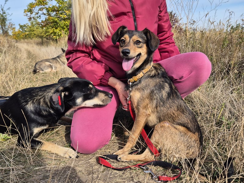 Charly sucht Menschen mit Herz