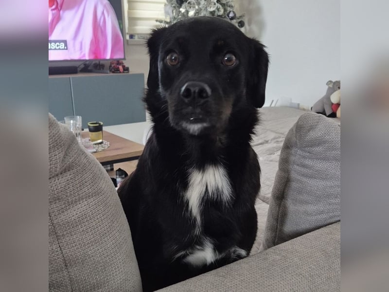 Botzi ein Engel mit gebrochenen Flügeln