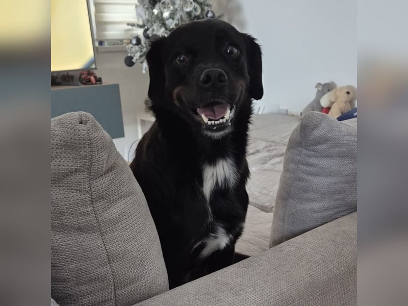 Botzi ein Engel mit gebrochenen Flügeln