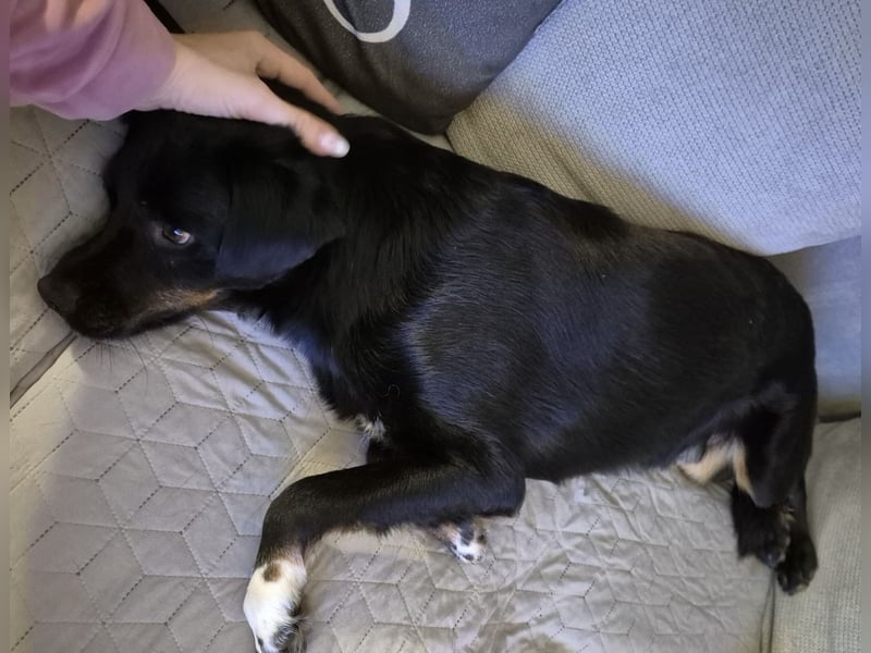 Botzi ein Engel mit gebrochenen Flügeln