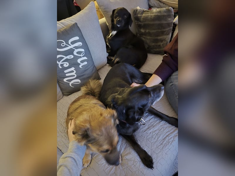 Botzi ein Engel mit gebrochenen Flügeln