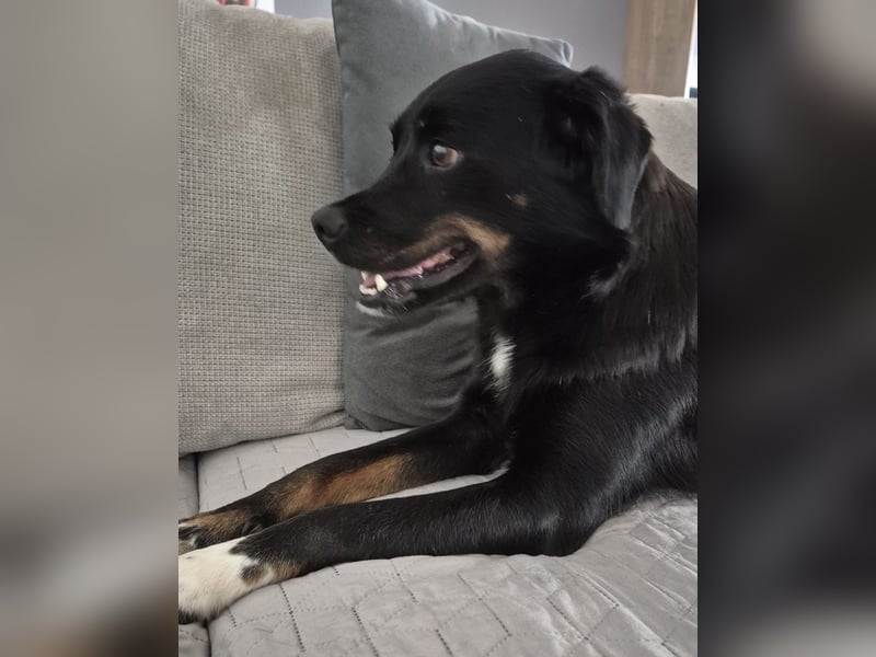 Botzi ein Engel mit gebrochenen Flügeln