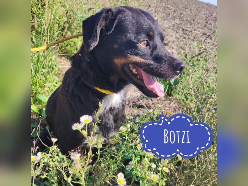 Botzi ein Engel mit gebrochenen Flügeln