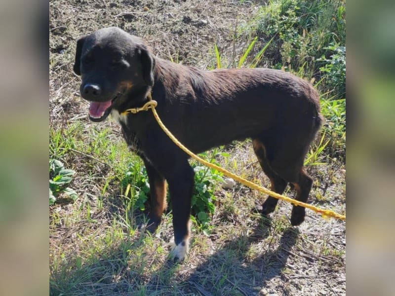 Botzi ein Engel mit gebrochenen Flügeln