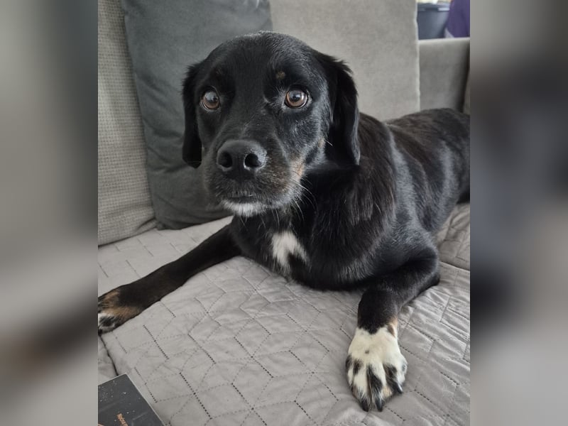 Botzi ein Engel mit gebrochenen Flügeln