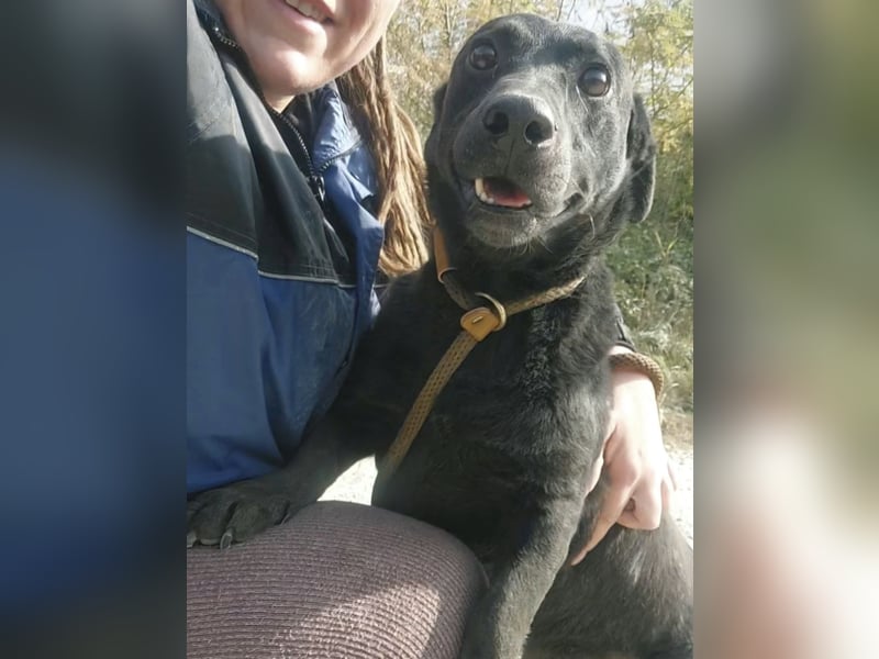 Freddy eine fröhliche Natur