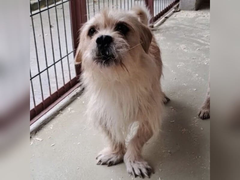 OFFICE TAUT LANGSAM AUF