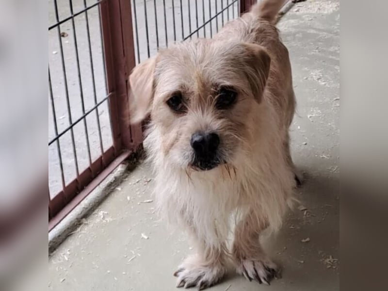 OFFICE TAUT LANGSAM AUF