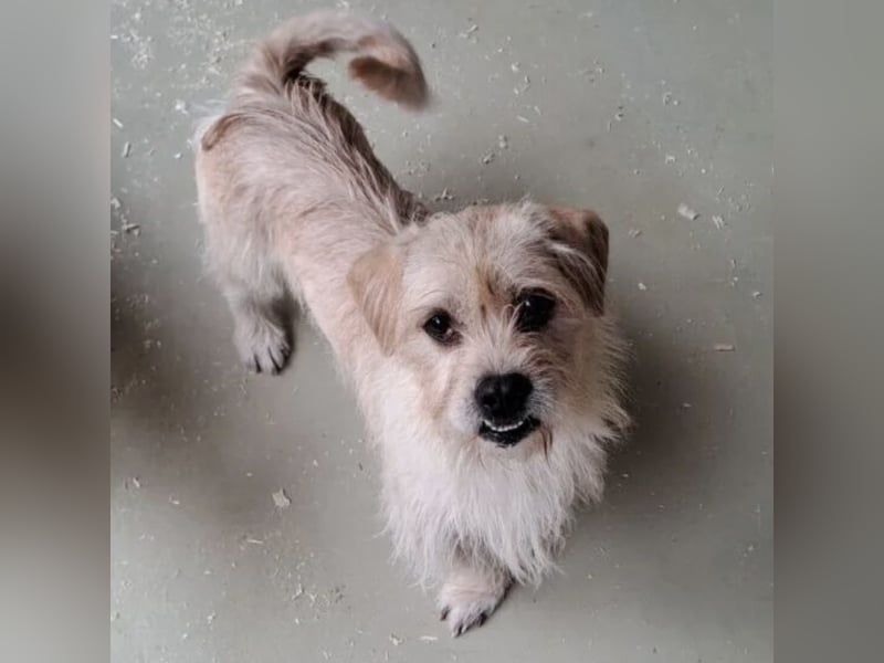 OFFICE TAUT LANGSAM AUF