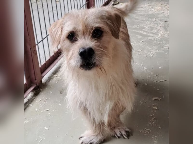 OFFICE TAUT LANGSAM AUF