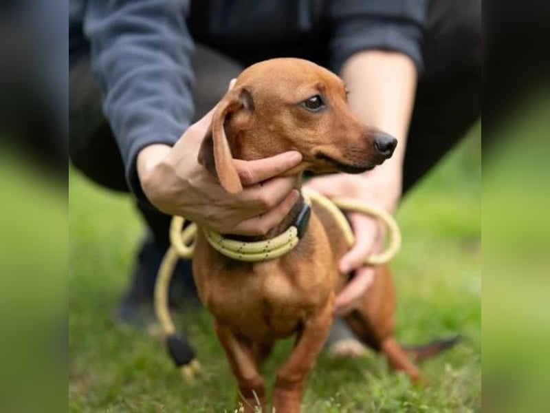 Tuka