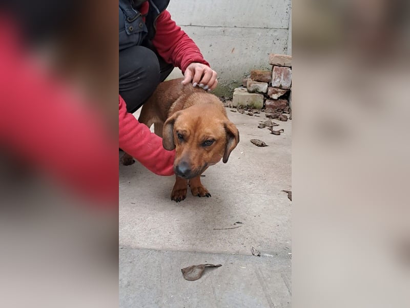 KALI - BLIEB UNBEHANDELT