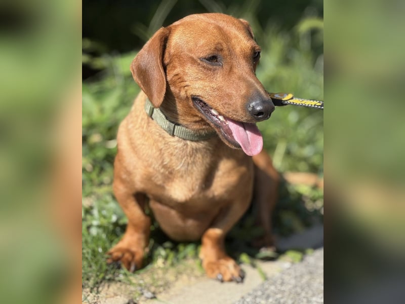 Snoop möchte geliebt werden