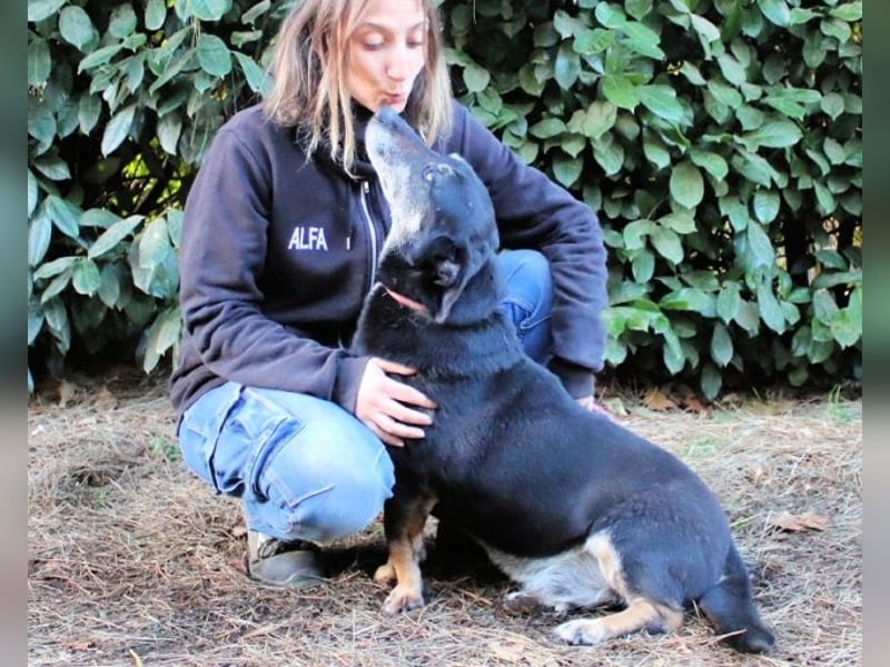 Fonzy- Unikat sucht ebensolches - und Liebe!