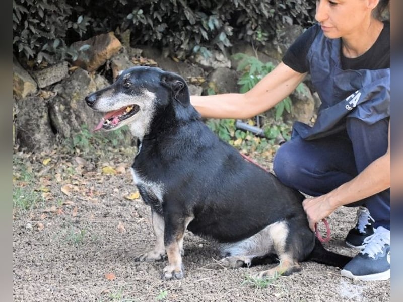 Fonzy- Unikat sucht ebensolches - und Liebe!